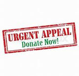 LICC URGENT FOOD Appeal 2024 - $100