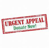 LICC URGENT Appeal 2025 - $250
